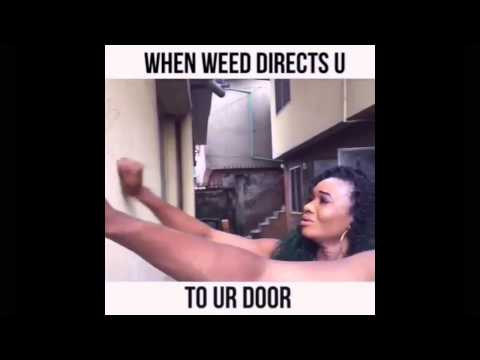 Wofaifada - Say NO to Drugs