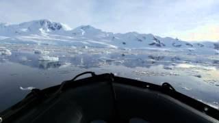 Zodiac Boat Ride With Porpusing Penguins in Antarctica