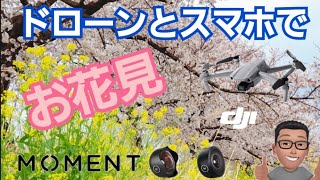 ドローンで花見散歩。スマホでのカメラ撮影術も紹介。