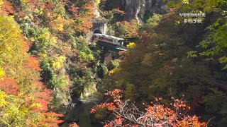 肌寒くなってきた宮城、まもなくもみじ狩りの季節ですね！一足お先に宮城の紅葉を見せちゃいます編。鳴子峡の例年の紅葉の見頃は、10月下旬から11月上旬とのことです。【鳴子峡の紅葉 ハシュカリ#113】