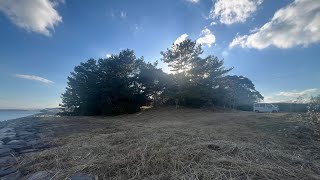 2024-2025 白石神社「竹あかり」「初日の出ミヨウ」