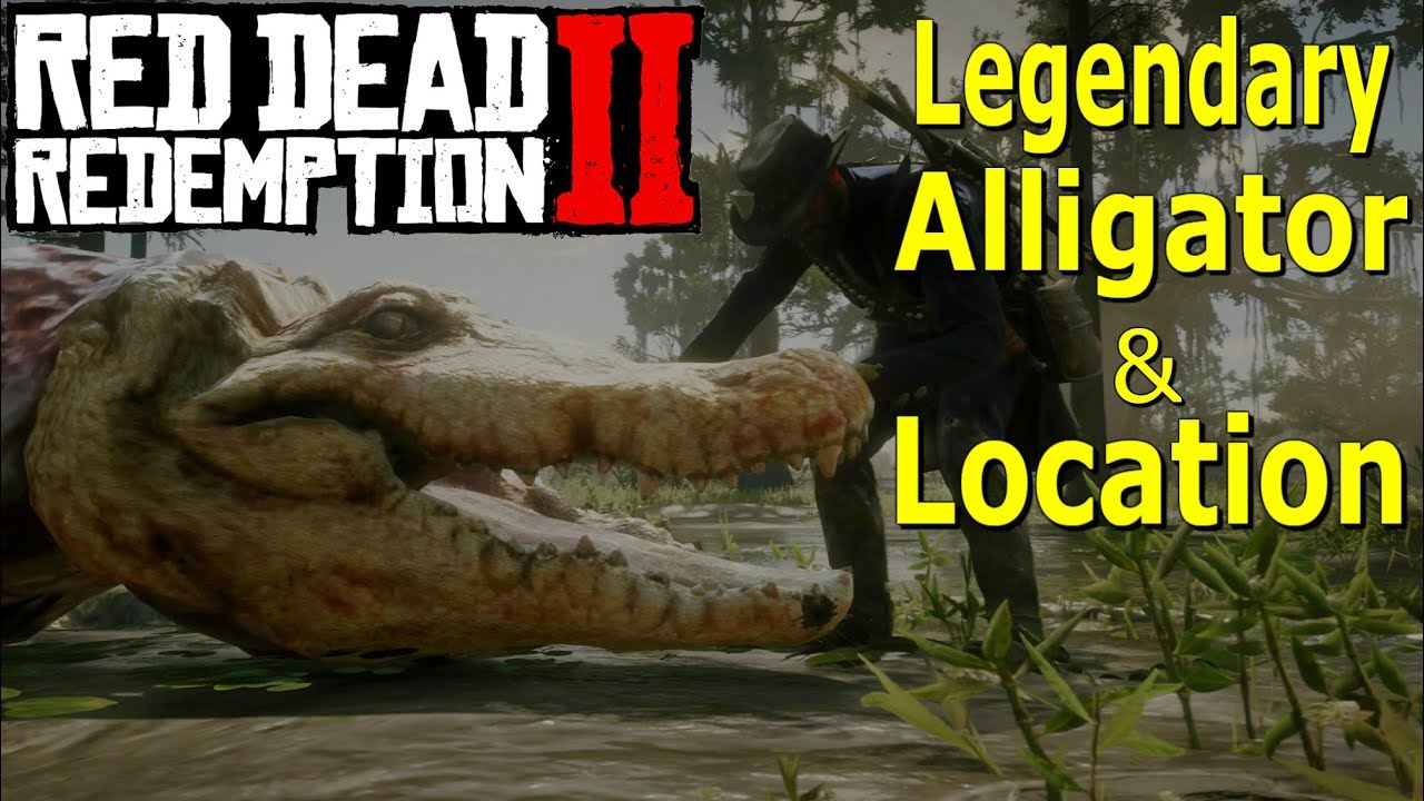 Red Dead Redemption 2 Legendary Alligator Location & Tips (RDR2 Animals ...