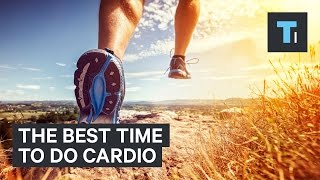 An exercise scientist reveals the best time to do a cardio workout