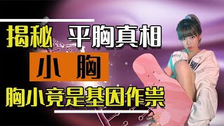 平胸的真相|东亚女性胸部小是基因突变？为什么欧美女性不受影响