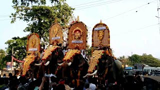 ഇളമുറതമ്പുരാൻ ഊക്കൻസ് കുഞ്ചുവിന്റെ മാസ്മരിക നിലവ് Ukkens kunju mass nilav