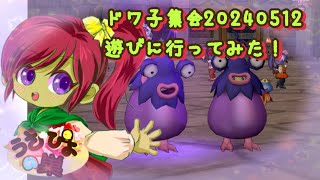 【 ドラクエ10 】2024 5/12 #ドワ子集会 遊びに行ってみた！ドワ子天国楽しーい！♪【 うさぴよの巣 】