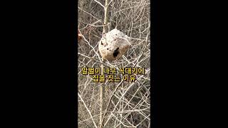 금은모래강변공원 말벌집#강천보#한강문화관