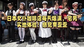 日本女仆咖啡店每天爆满，宅男实地体验！感觉爽歪歪