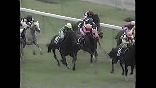 中央競馬年鑑　1997　年度代表馬　エアグルーヴ