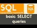 Basic Queries | SQL | Tutorial 10