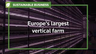 Sustainable Business: Inside Europe's largest vertical farm