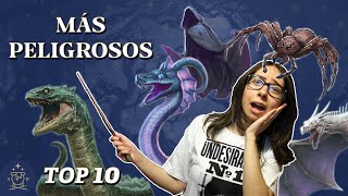 Los 10 Animales Fantásticos MÁS PELIGROSOS del Mundo Mágico de Harry Potter | El Aquelarre de Dany