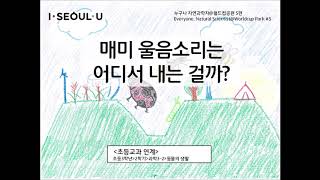 [누구나 자연과학자 @월드컵공원] 5편 : 매미 울음소리는 어디서 내는 걸까? ㅣ서울의 공원