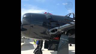 The F8F Bearcat, The Last Piston Engine Flycat of WW2 #usnavy #military