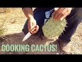 Desert Survival Food: Prickly Pear Cactus (Nopales) -Junkyard Fox