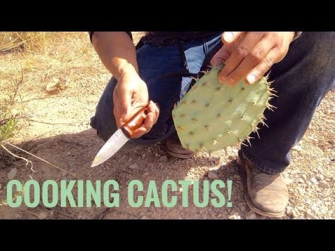 Desert Survival Food: Prickly Pear Cactus (Nopales) Desert Survival Food: Prickly Pear Cactus (Nopales)