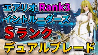 【NGS.Ver2】Rank3 エアリオイントルーダーズ Sランク デュアルブレードのみ