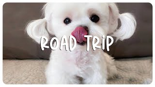 Songs to sing along in the car ~ Songs to sing in a road trip playlist