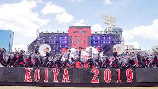 [4K] 龍谷大学 華舞龍　こいや祭り 2019 1日目