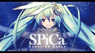 SPiCa (Toku-P) | COVER by Narae