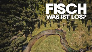 FISCH WAS IST LOS? (Doku) Gewässer im Bezirk Spittal a. d. Drau