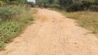 PER ACRE 12.50-LAKHS AREA 52/ACRES PUNJAI AGRIC LAND SALE TRICHY TO ILLUPUR CUT ROAD 4/KM