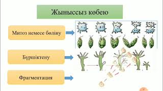 Тірі ағзалардың көбею түрлері