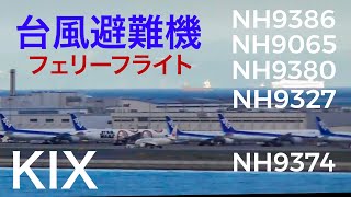 関空の台風避難機が羽田 成田 福岡へフェリーフライト。Typhoon evacuation aircraft ferry flights to various airport.