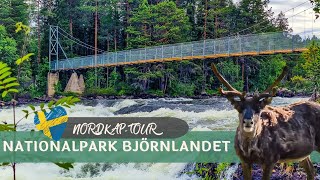 Nationalpark Björnlandet in Schweden - Roadtrip mit dem Wohnmobil zum Nordkap (Vlog Woche #9 )