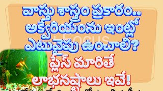 వాస్తు శాస్త్రం ప్రకారం అక్వేరియంను ఇంట్లో ఎటువైపు ఉంచాలి? ప్లేస్ మారితే లాభనష్టాలు ఇవే#vastutips