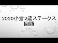 【回顧】2020新潟記念 u0026小倉2歳ステークス！ブラヴァスが成長を見せつけるスロー差し？今週は本命サンレイポケットと予想はまぁまぁ。