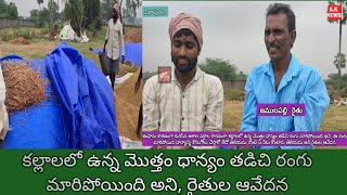 రైతన్నకు తీరని నష్టం