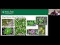 webinar what s that plant botany on the bruce trail