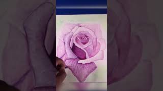 🌹Rose  || Watercolor Painting - Process ✍️