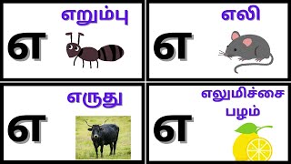 எ வரிசை சொற்கள்|Ae varisai sorkkal| Tamil learning videos for kids |Tamil alphabets