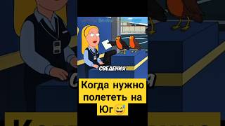 Когда нужно полететь на Юг 😅✨ #гриффины #familyguy #сериал