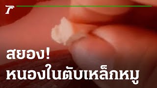 สยอง เจอหนองในตับเหล็กหมู | 24-05-65 | ข่าวเช้าหัวเขียว