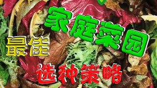 【安娜種植園】045家庭蔬菜種植选种思路What seeds to choose for your vegetable garden?