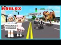 Aku Dan Adiku Terpaksa Harus Membuat Kandang Dinosaurus Di Roblox Brookhaven ft @Shasyaalala