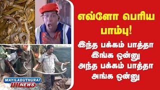 வீட்டை சுற்றி சுற்றி வந்த பாம்புகள், தெறித்து ஓடிய மக்கள் | SNAKE NEWS | MAYILADUTHURAI SETHIGAL