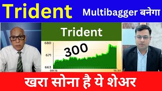 Trident Share Latest News | Trident Share News Today | Trident Share Analysis, buy sell or hold ?