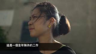 Mary's Doggies - Documentary - Rescue Without Borders 流浪狗救援紀錄片