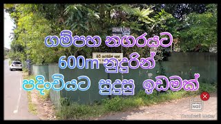 ගම්පහ නගරයට 600m නුදුරින්  පදිංචියට  සුදුසු  ඉඩමක්