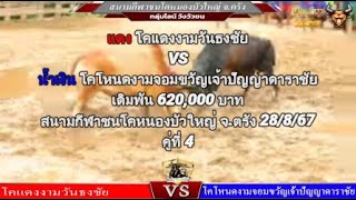 คู่ที่ 4 สนามกีฬาชนโคหนองบัวใหญ่ จ.ตรัง 28/8/67 🔴#แดงงามวันธงชัย vs🔵#โหนดงามจอมขวัญเจ้าปัญญาดาราชัย