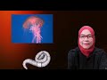 sistem rangka manusia sains tahun 5 kssr semakan sains hayat manusia