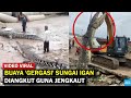 VIRAL, Buaya 'Gergasi' Sungai Igan Diangkut Guna Jengkaut..