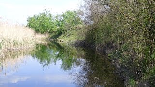 Большое апрельское путешествие вдоль реки Берда 5 серия. Конец пути.