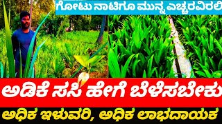 ಅಡಿಕೆ ಸಸಿ ಯಾವ ರೀತಿ ನಾಟಿ ಮಾಡಬೇಕು..HOW TO GROW ARECA PLANT #arecanutfarming #arecanut #agriculture