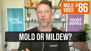 What’s the difference between mildew and mold?