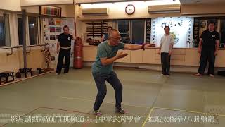 【八卦套路教學】【20191101(06)】八掌拳（大鵬展翅） 空中穿掌翻身